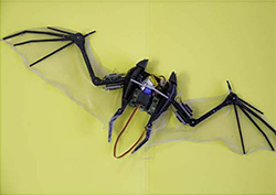 Bat-Bot